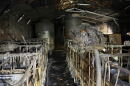 Burned distillery with charred stills in Wilkes County.