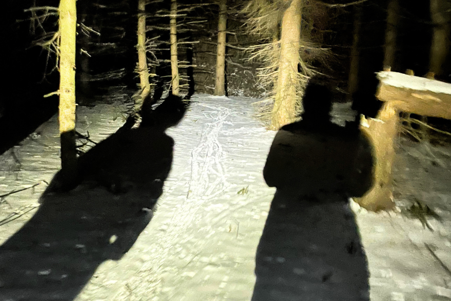 Ashley Halladay-Schmadt and volunteers searching a wooded area for the 2024 Point in Time count. Photo Credit: Ashley Halladay-Schmadt.