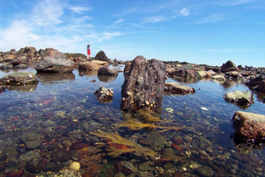 Beach Points and Moon Shoals