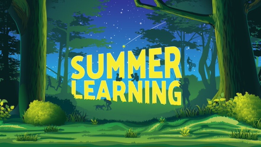 eMediaVA Summer Learning Collection