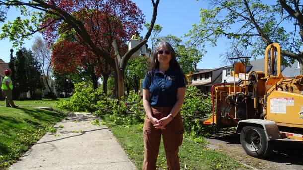 Milwaukee forestry service manager Erin Stoekl