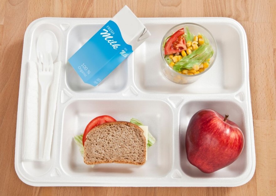School lunch plate with sandwich, apple, salad, milk