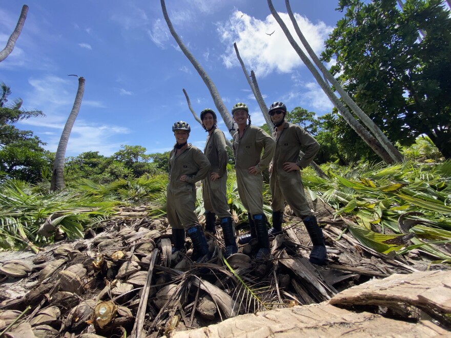 Four team members celebrate after clearing a plot of coconut palm trees on Palmyra Atoll. (July 10, 2021)