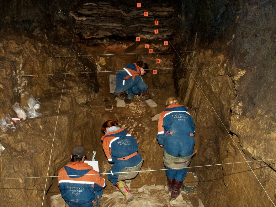 Some 2,000 bones — some animal, some ancient human — were found in the Denisova Cave.
