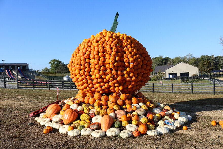 As a part of its Pumpkin Town attraction, Bear Wallow Farms in Nancy has a giant pumpkin made from pumpkins, as seen Oct. 8, 2026. The farm is one of Kentucky's many agritourism sites where people can visit and partake in activities like pumpkin picking and corn mazes.