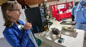 St. Francis Wildlife Board Member Kelly Kraft was working her organization's booth at the market. In the small aquarium on the table is Bobette, a remarkably sociable and curious Eastern Box Turtle.