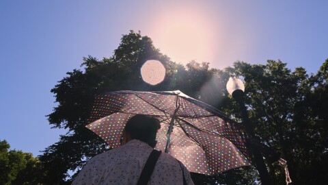 With temperatures hovering near 100 degrees, a woman protects herself from the sun while walking through Boston Common, Tuesday, June 24, 2025, in Boston. 
