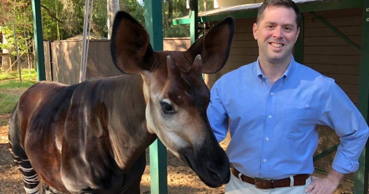 25-Year zoo industry veteran to lead Grand Rapids' John Ball Zoo