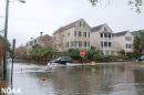 Streets in Charleston, S.C., flood frequently on storm-free days, including 7 times over the past year above 1.75 feet.
