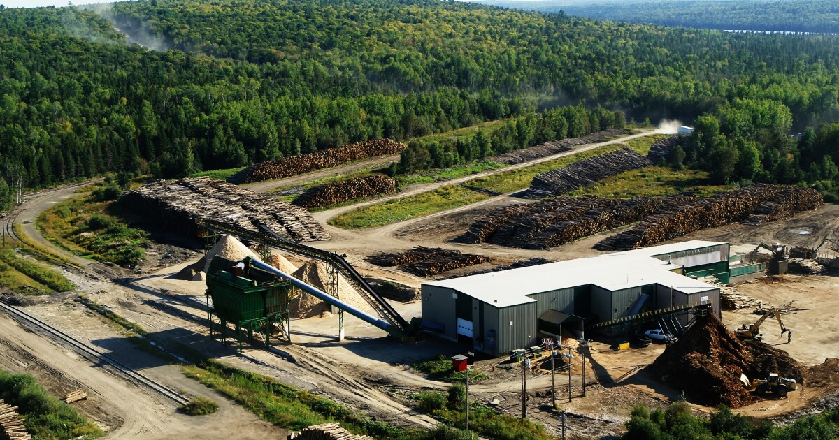 Maine timber companies to access revamped $32 million federal grant