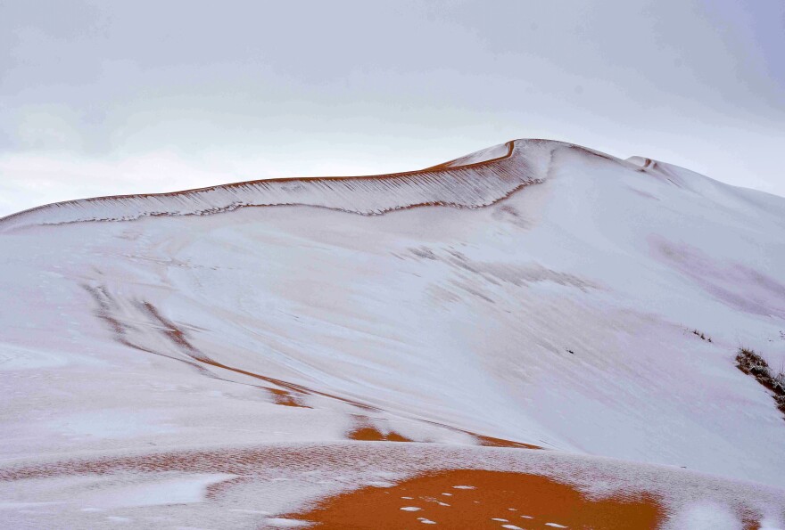 By late afternoon Sunday, the scene had retreated into its typical hues — but not before the snow was memorialized in a few astounding images.