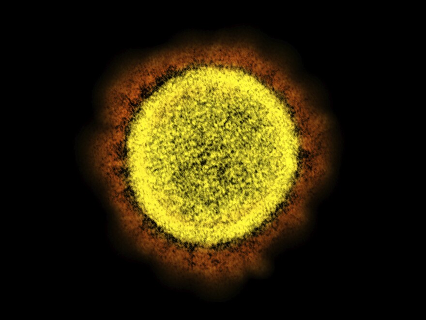 An electron microscope image shows a SARS-CoV-2 particle isolated in the early days of the pandemic. It's been nearly a year since omicron was first detected, and scientists say this branch of the coronavirus family tree is still thriving.