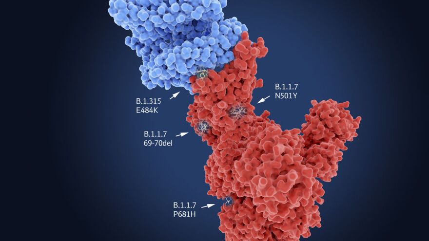 Juan Gaertner/Science Source