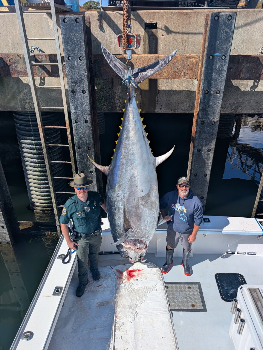Jamie Savage, right, has caught hundreds of tuna in his career, but none this large. "People have just been blowing up my phone," he says.