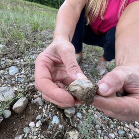 Joyce Fetrow picks through rocks in a gravel field east of Gaylord, Michigan on July 7, 2023. A “keeper” can be anything Joyce finds interesting. (credit: Michael Livingston)