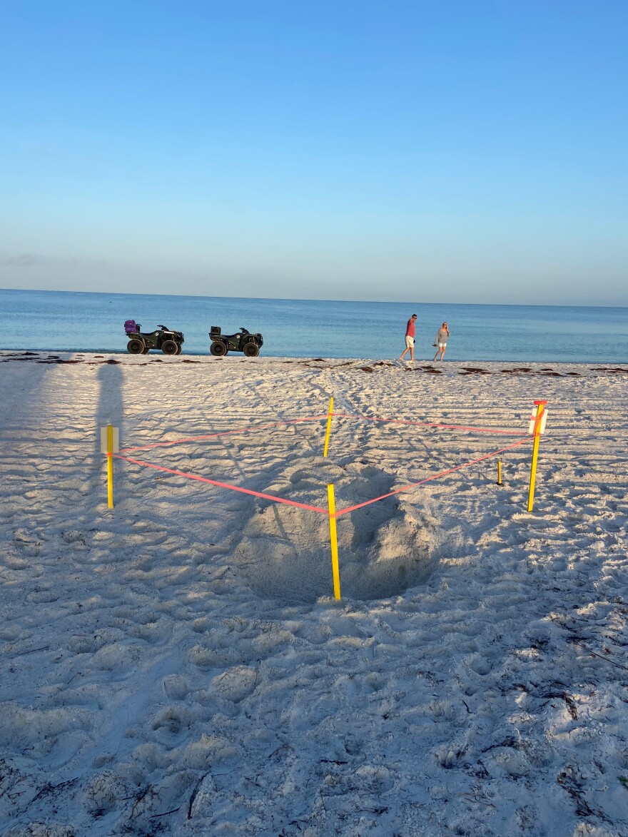 Hole in the sand with four yellow stakes in the sand holding up an orange ribbon to close off the area. The blue water and sky is beyond the sandy hole.