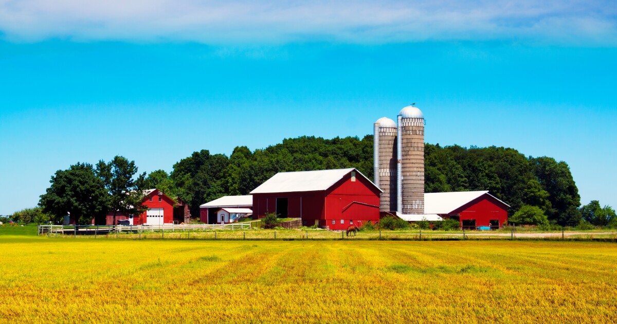 Missouri Farmer Calls $12B Federal Aid a 'Drop in the Bucket'