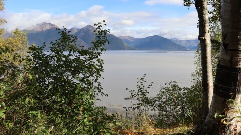 A view of Turnagain Arm as seen from Porcupine Cabin in Hope