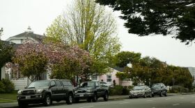 A tree-lined street with cars parked on the opposite side and houses visible through the branches