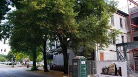 point trees