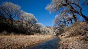 San Pedro Riparian