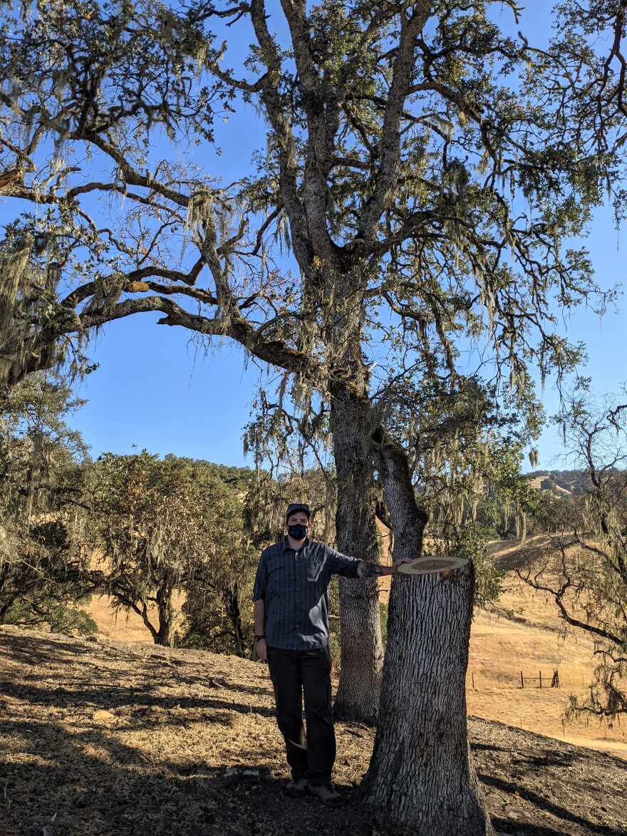 Forestry advisor Michael Jones with 90% trimmed tree.