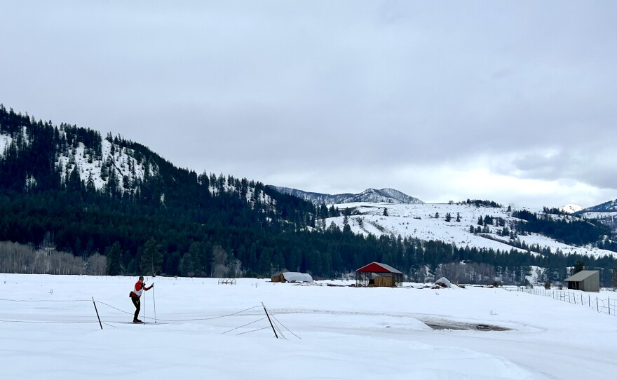 A skier in a red and white jacket and black pants skis on a trail covered in snow. The field is covered in snow. There is a red building in the middle-distance with hay under it and a gray building across the trail. The background has snowy hills with evergreen trees on them.