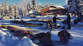 Yukon Quest sled dogs take a rest in the dog yard at Pelly Crossing in 2015.