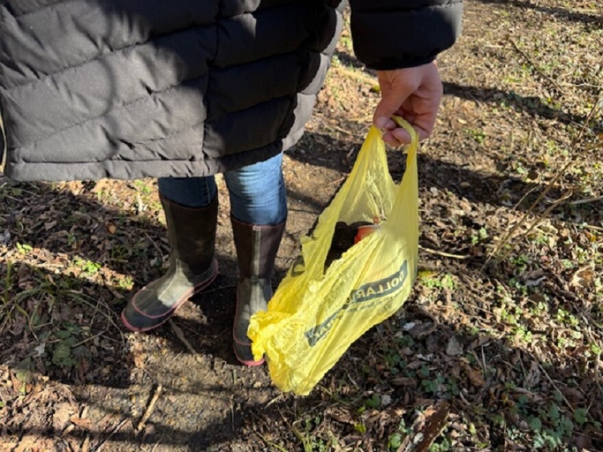 Whitney formed a nonprofit called cleaner.org to promote her work