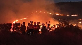 Ventura County firefighters at the scene of the January, 2021 Erbes brushfire in Thousand Oaks.