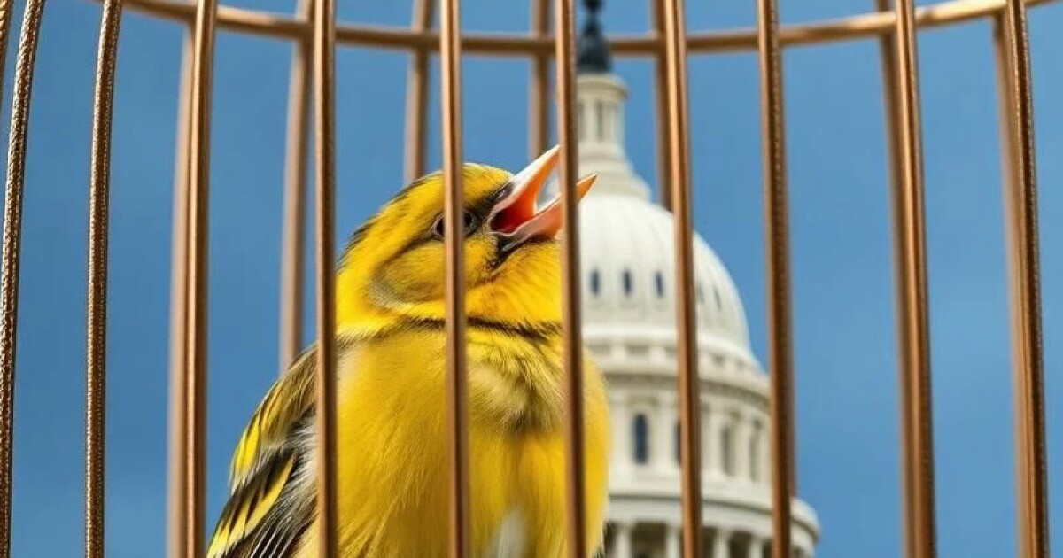 Gallery image with a fresh perspective
