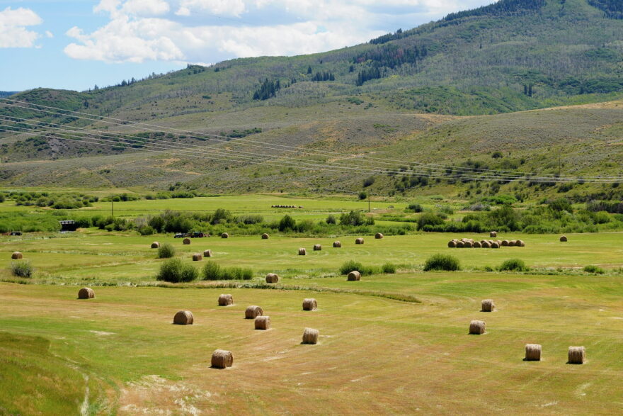 Hay bales lie in pastures in front of foothills to mountains.