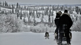 a sled dog team on a snowy road