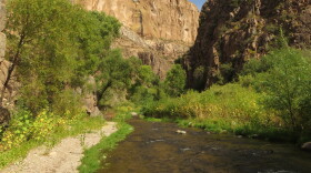 A clear, shallow creek flows through a narrow rocky canyon surrounded by green brush