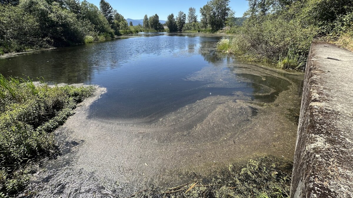 Oakridge administrator hopes EPA grant leads to clean-up of pond, rec center