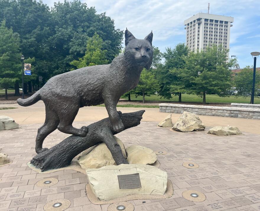 A statue of the University of Kentucky’s mascot, a wildcat named “Bowman,” sits on the campus in Lexington.
