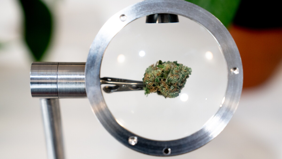Marijuana expungements come to Missouri courts - Vimarsana News