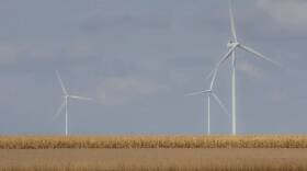 Soybeans and corn grow in front of wind turbines at the Meadow Lake wind farm in northwest Indiana.