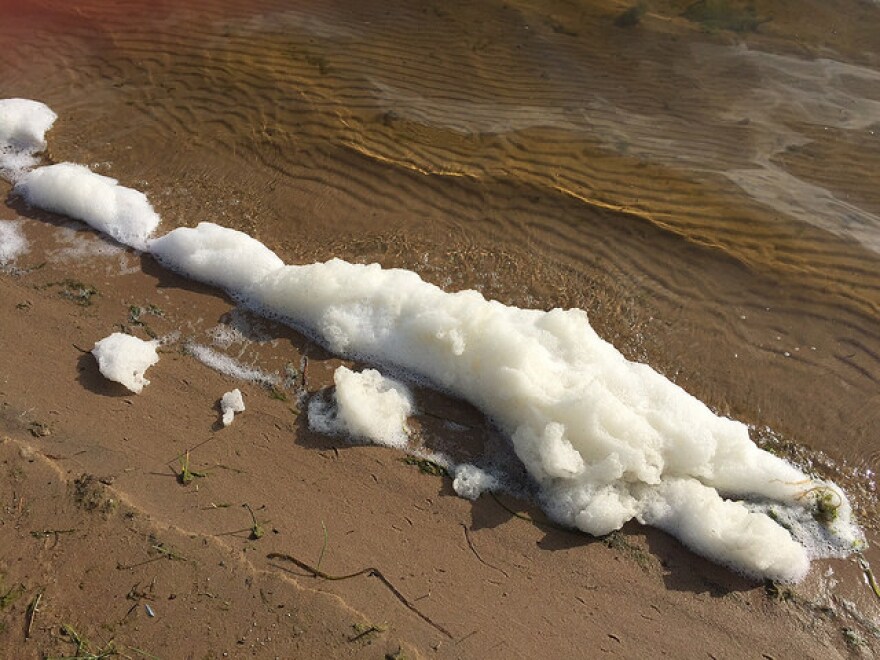 PFAS foam on lakeshore