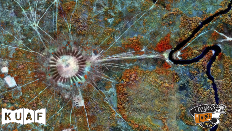 A work from Enduring Amazon: Life and Afterlife in the Amazon Rainforest at The Momentary.