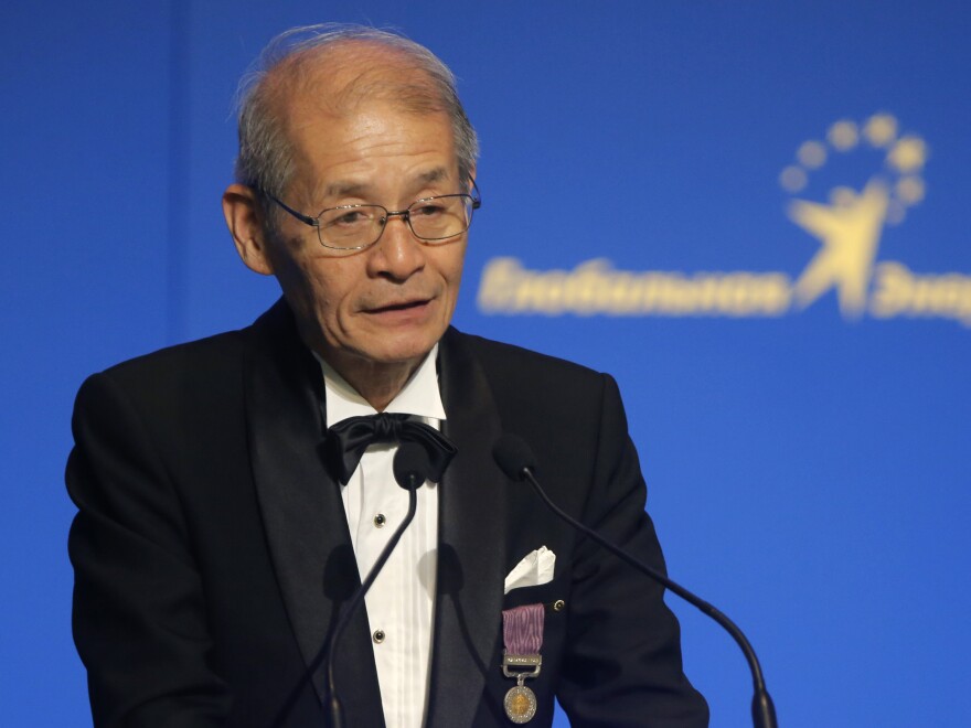 Japanese chemist Akira Yoshino speaks during a Global Energy Prize award ceremony in St. Petersburg, Russia, in 2013.