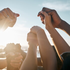 A diverse group of people holding hands in the sunshine. Only their forearms and hands are visible.