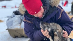 a woman gazes at her sled dog