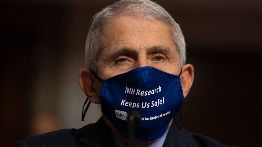 Dr. Anthony Fauci, director of the National Institute of Allergy and Infectious Diseases at NIH, is pictured on Capitol Hill on Sept. 23. Fauci tells NPR it's "OK to celebrate" the vaccine news.