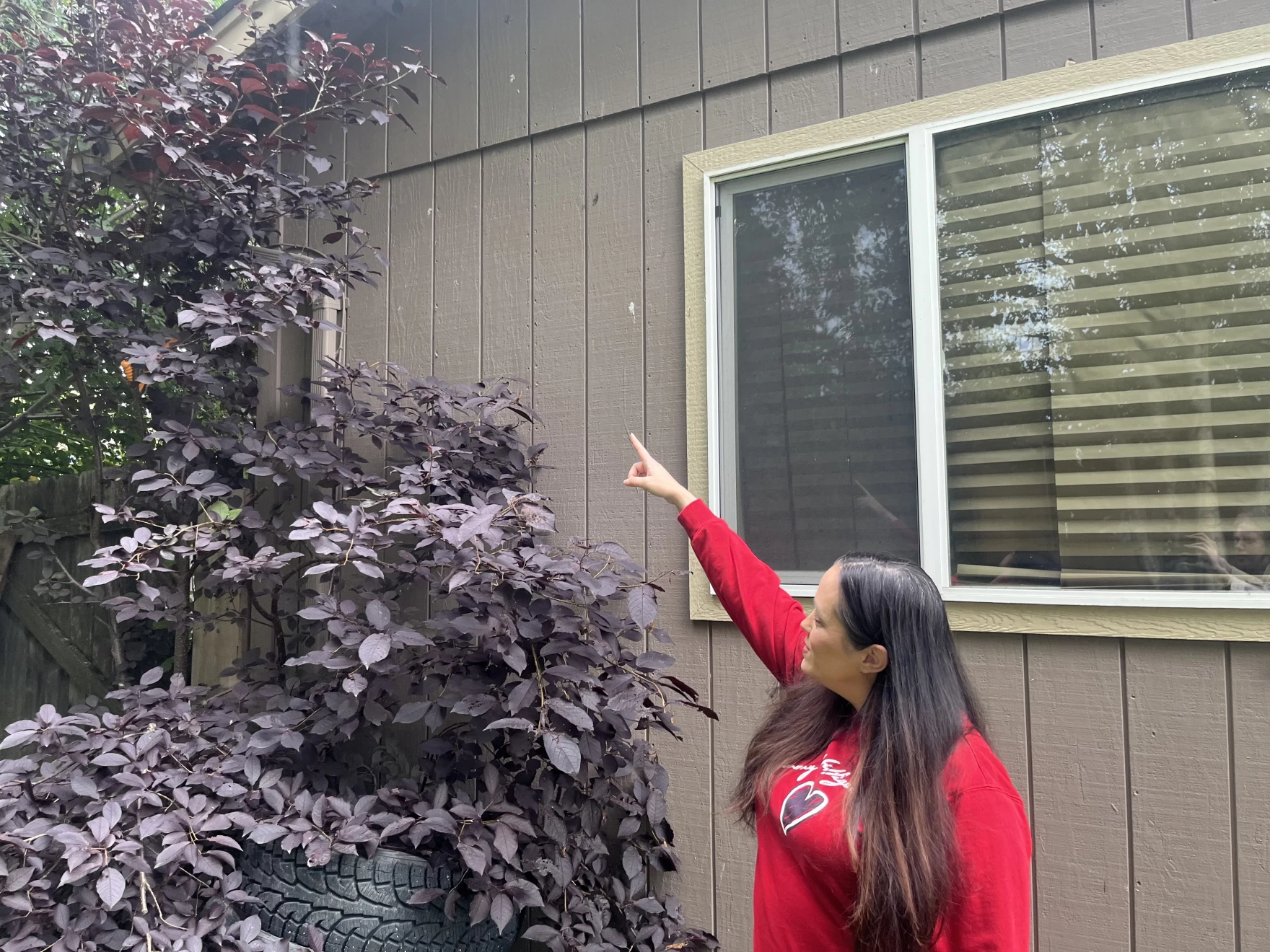 “So many this year:” Wasps keep pest removal companies busy in Southcentral Alaska