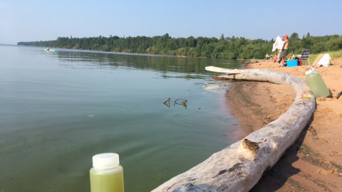 A bloom stretched roughly 50 miles along Lake Superior’s south shore in 2018.