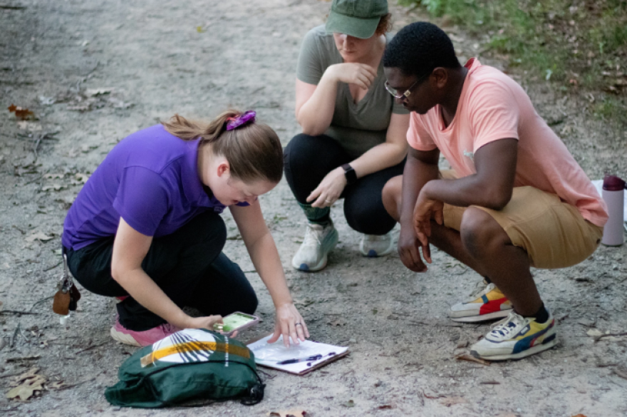 Supervisor Miranda Adams (left) documents the size and colors of the firefly. Citizen scientists Aleia Devore (center) and Korbin Johnson (right) observe.
