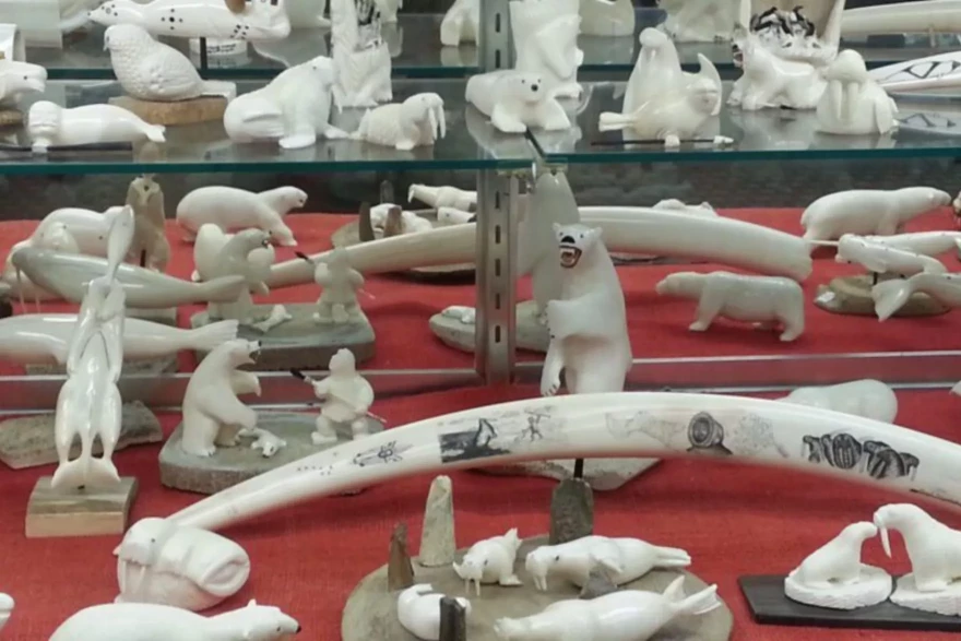 Ivory carvings in a display case at Maruskiya's of Nome store.