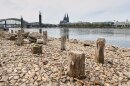 Remains of the post-World War II Patton Bridge are exposed during historically low water levels of the Rhine River during a heat wave and a prolonged drought, across from the Cologne Cathedral in Cologne, Germany, Monday, Aug. 3, 2026.