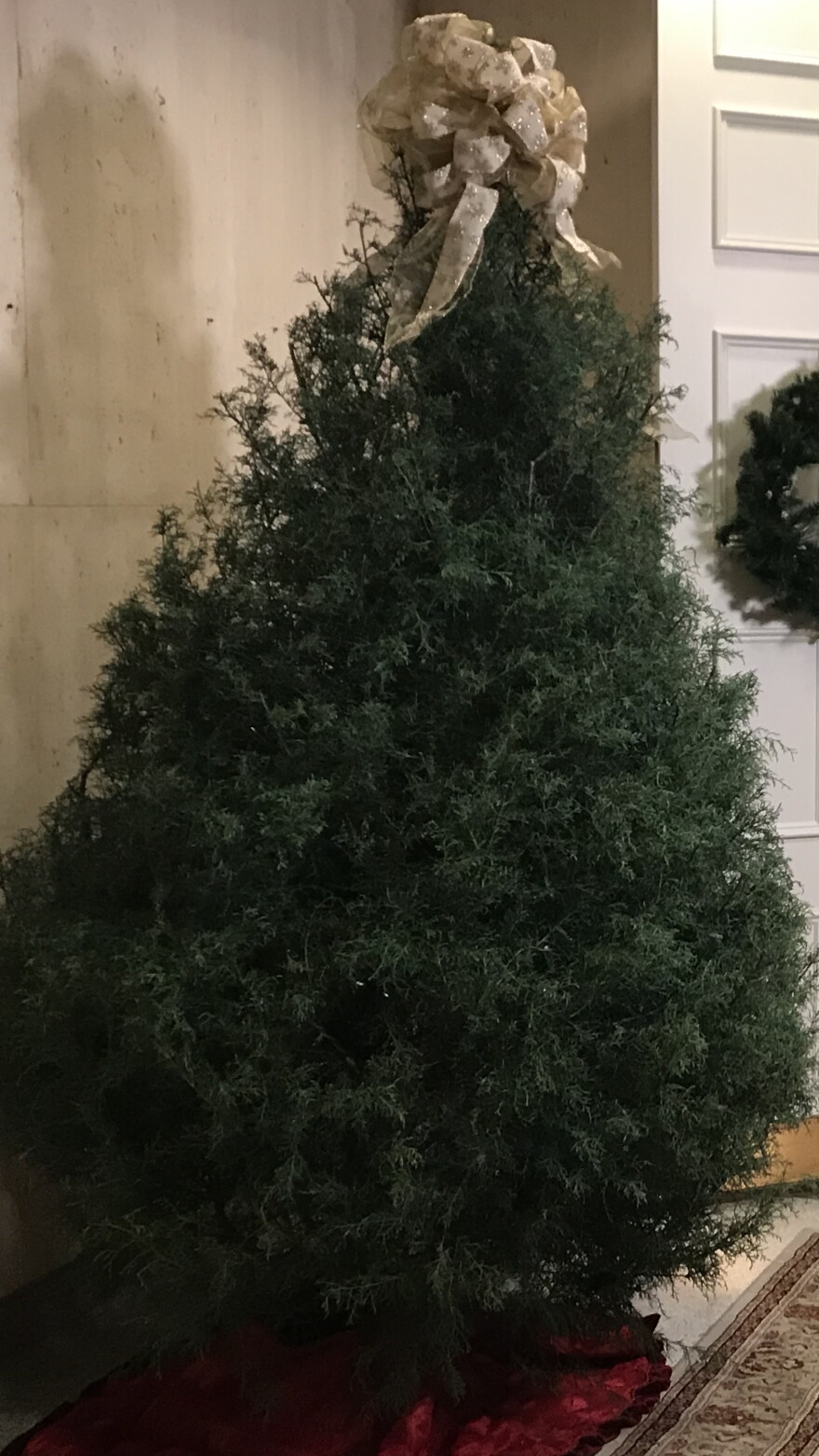 Capitol Christmas Tree